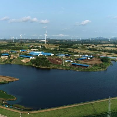 هيكل فولاذي مسبق الصنع، مبنى حظيرة أبقار وحدات، بناء فولاذي مع معالجة سطحية متينة وعمر خدمة طويل