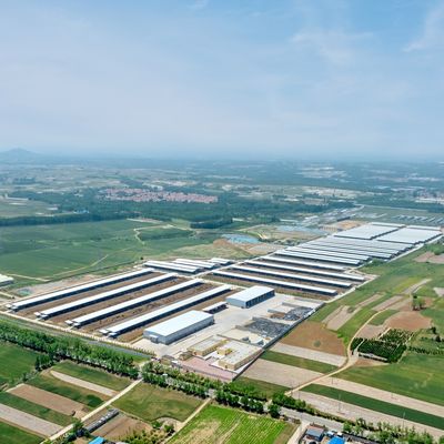 تصميم إمدادات الهيكل الحديدي الحديث مزرعة الألبان الحظيرة المعدنية الحظيرة الماشية مع نظام تهوية