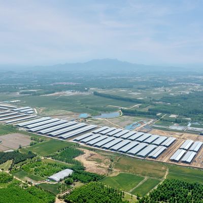 هيكل فولاذي مسبق الصنع، مبنى حظيرة أبقار وحدات، بناء فولاذي مع معالجة سطحية متينة وعمر خدمة طويل