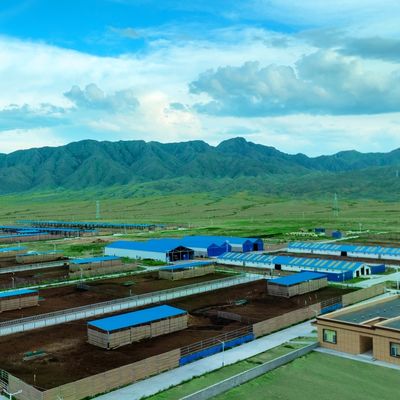 حظيرة أبقار من الصلب المجلفن للأبقار الحلوب واللحوم، عمر افتراضي 20+ سنة