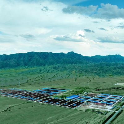 حظيرة أبقار من الصلب المجلفن للأبقار الحلوب واللحوم، عمر افتراضي 20+ سنة