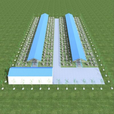 تصميم إمدادات الهيكل الحديدي الحديث مزرعة الألبان الحظيرة المعدنية الحظيرة الماشية مع نظام تهوية