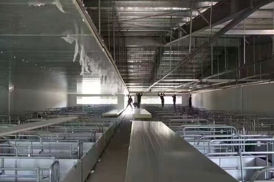 المباني الجاهزة بيت الدواجن البنية الفولاذية بيت مزرعة الدواجن الإطار البنائي الفولاذي لإسطبل الأبقار