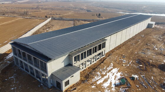 Prefabricated Modern Steel Structure Poultry House For Egg-Laying Hens