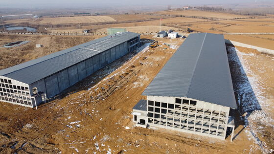 Prefab Steel Insulated Commercial Broiler/Layer Poultry House