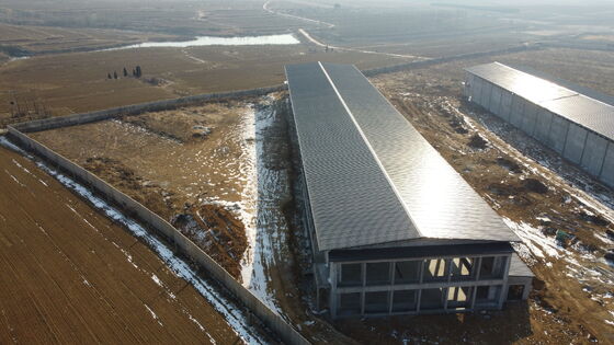 Prefab Steel Insulated Commercial Broiler/Layer Poultry House
